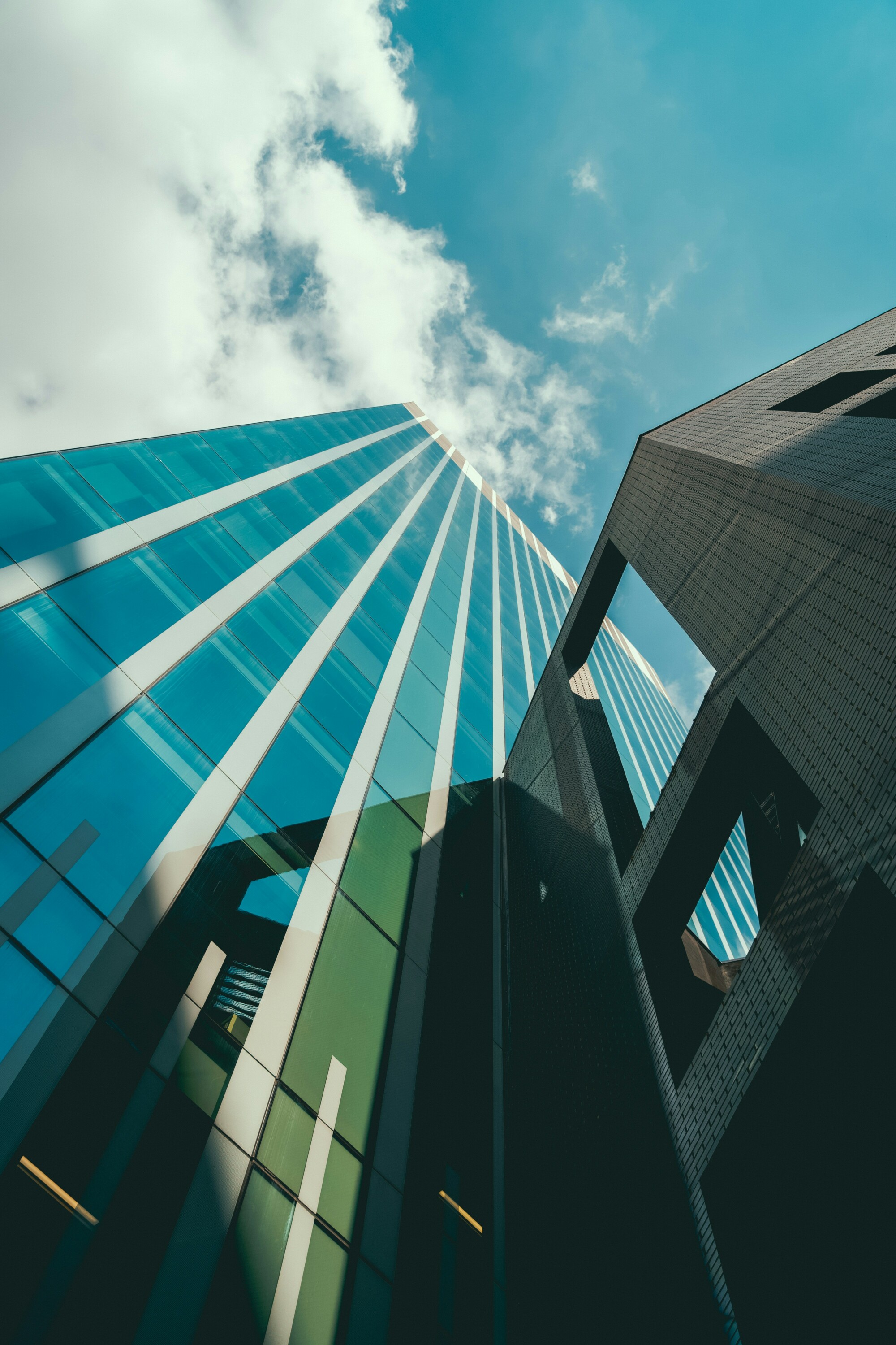 Building blueprints for a green economic renaissance - CETEx